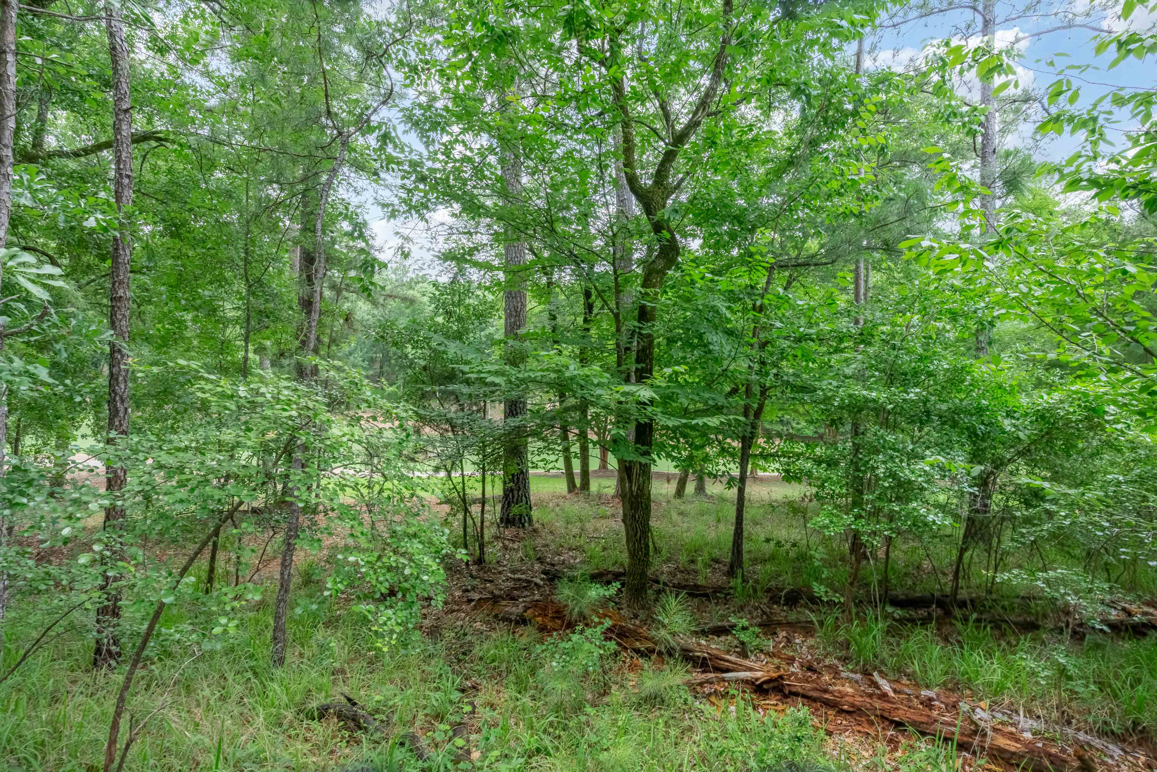 1101 Scull Shoals Drive image 17